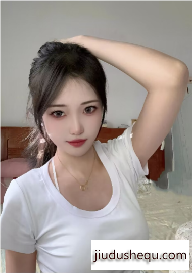 20250611131312.png